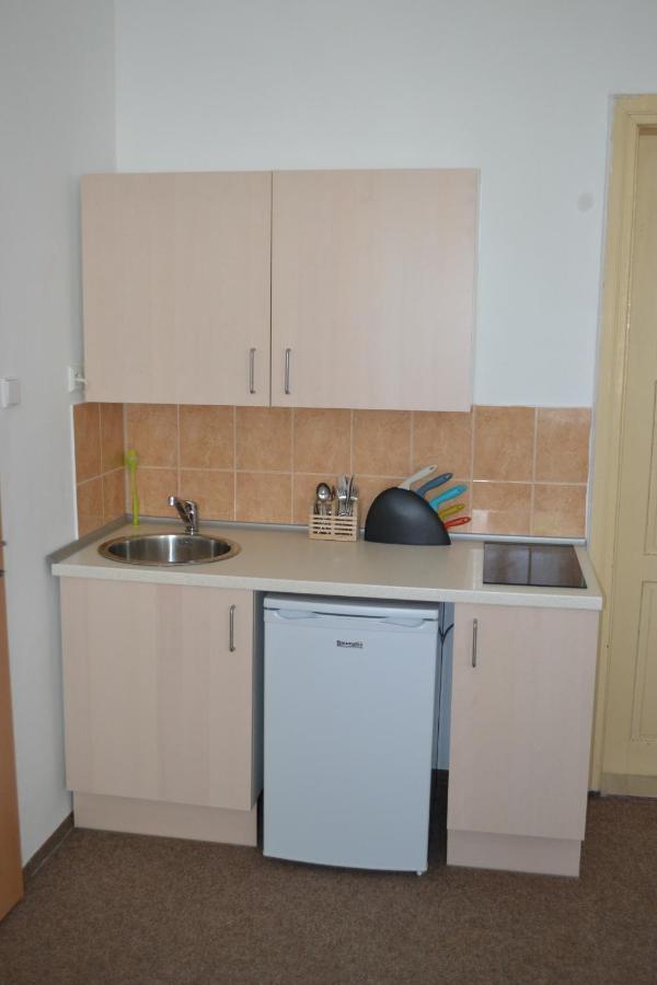 Hostel U Sv. Stepana Litoměřice الغرفة الصورة